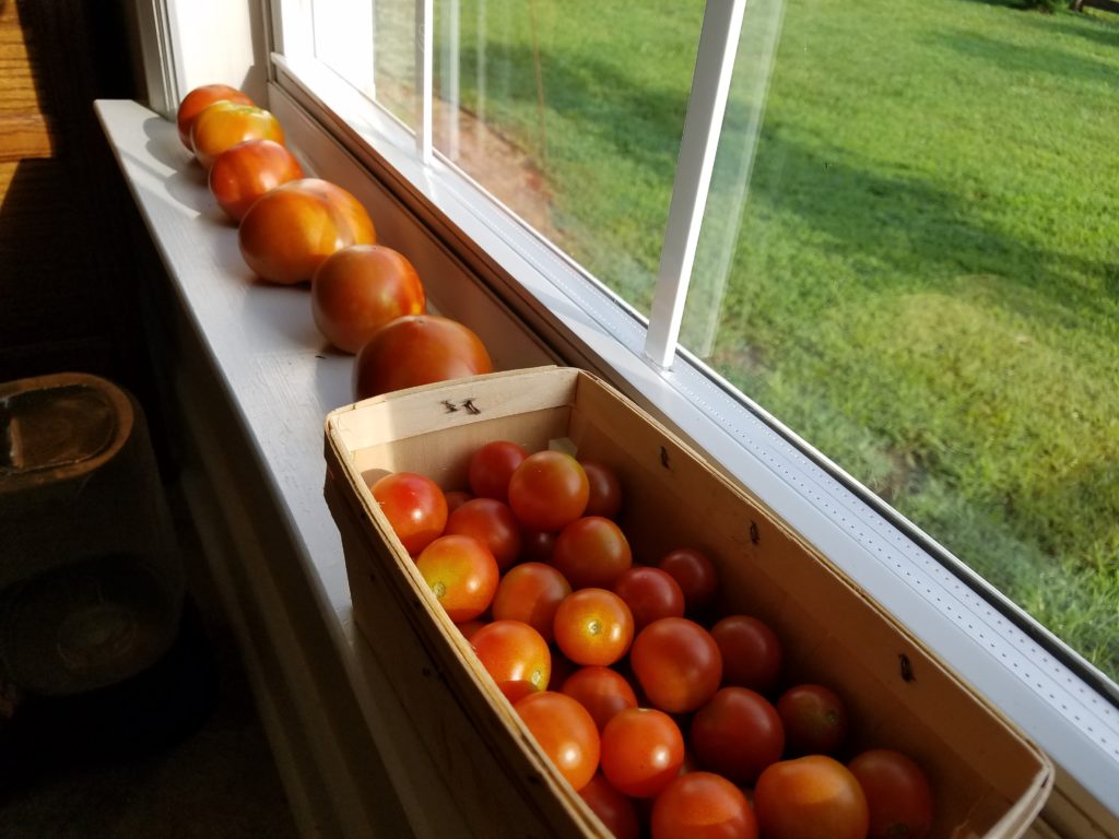 Cherry Tomatoes Summer Vegetables Quart Baskets