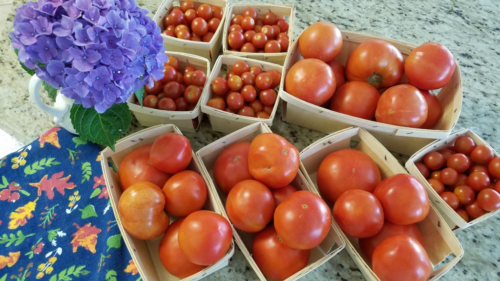 Tomatoes in Baskets